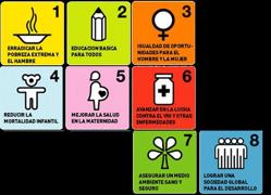Objetivos de Desarrollo del Milenio